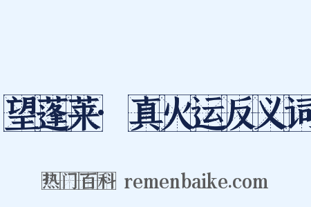 望蓬莱·真火运反义词是什么意思的图片